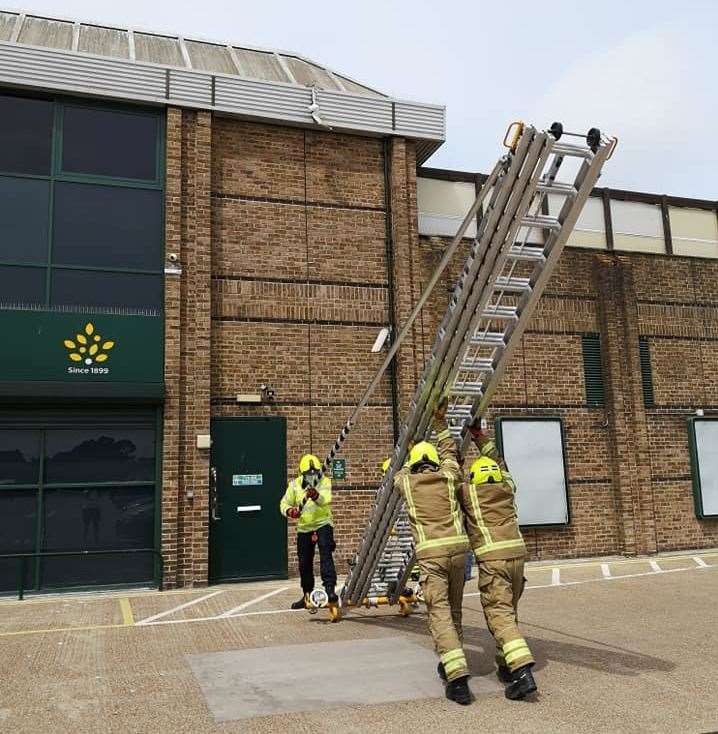 A fire crew helped rescue the distressed bird. Picture: Sheila Stone