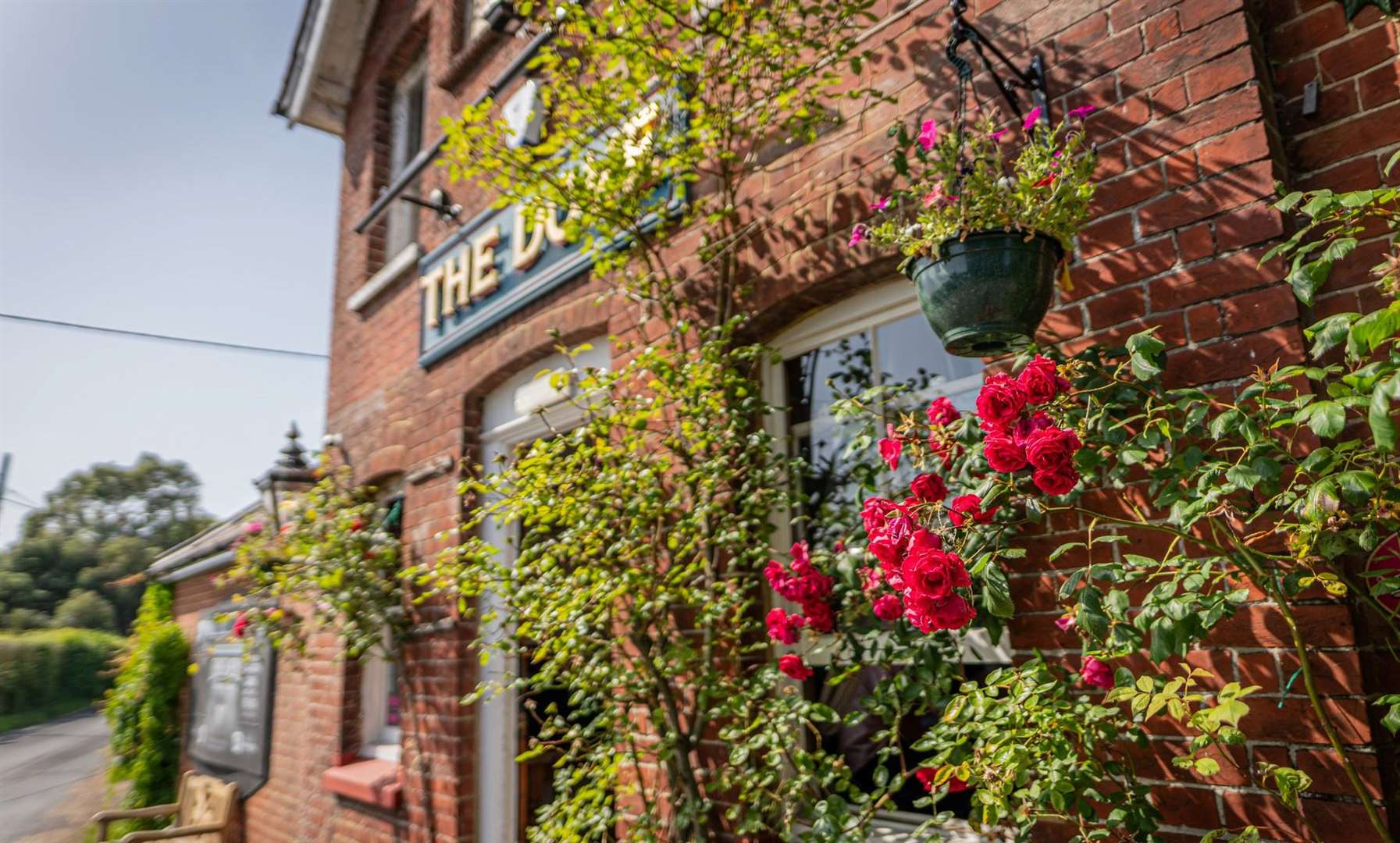 Secret Drinker fell head over heels for the garden at The Dove. Picture: Shepherd Neame