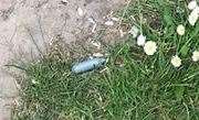 Rachel Delgado found several canisters at the play area in Suffolk Road, Canterbury. Picture: Rachel Delgado (12773379)