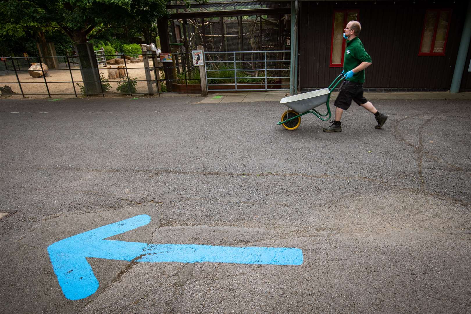 … and new one-way trails laid out for visitors to follow (Aaron Chown/PA)