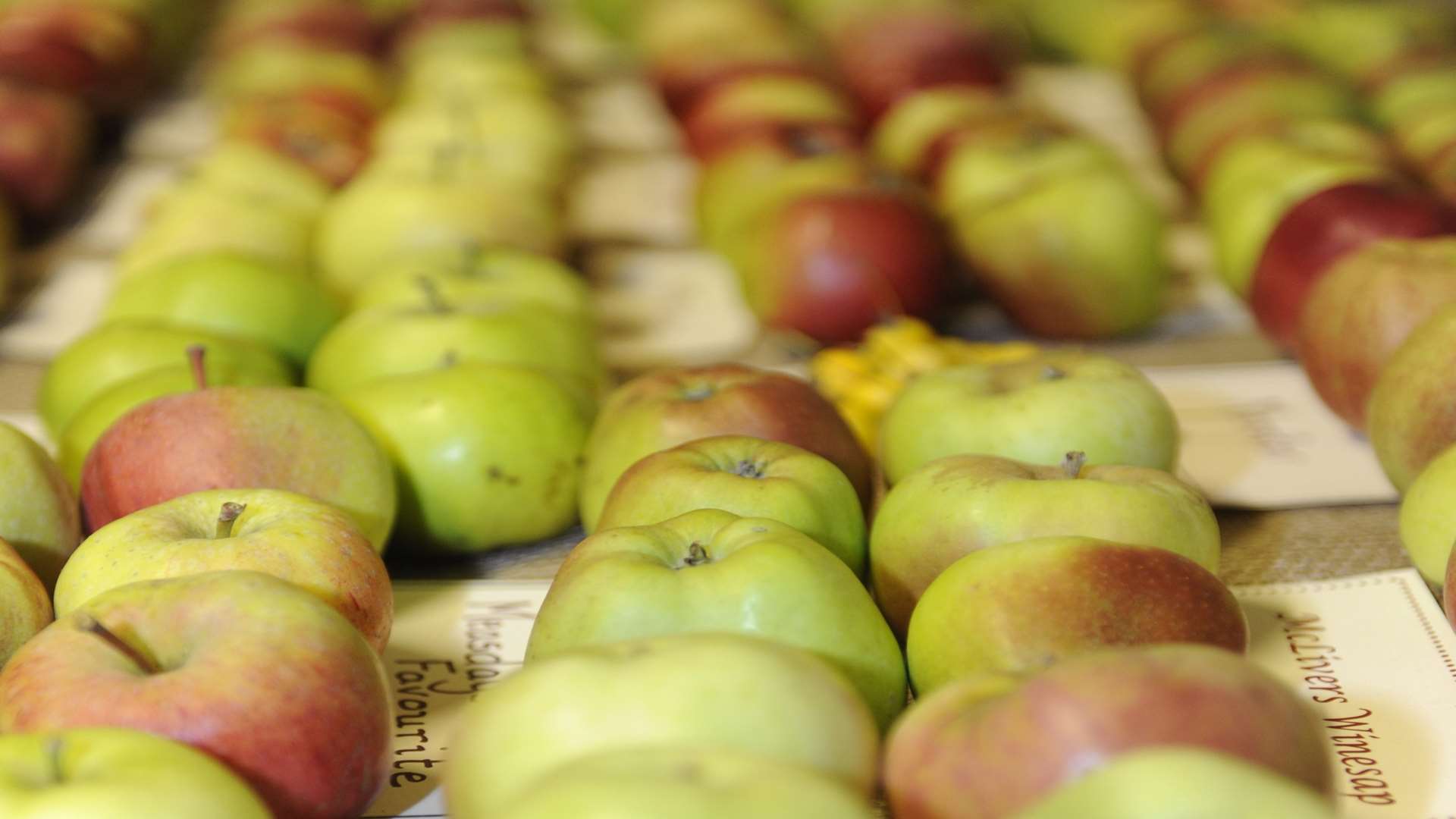 Faversham-based Brogdale holds festivals through the year, including the Apple Festival Picture: Tony Flashman