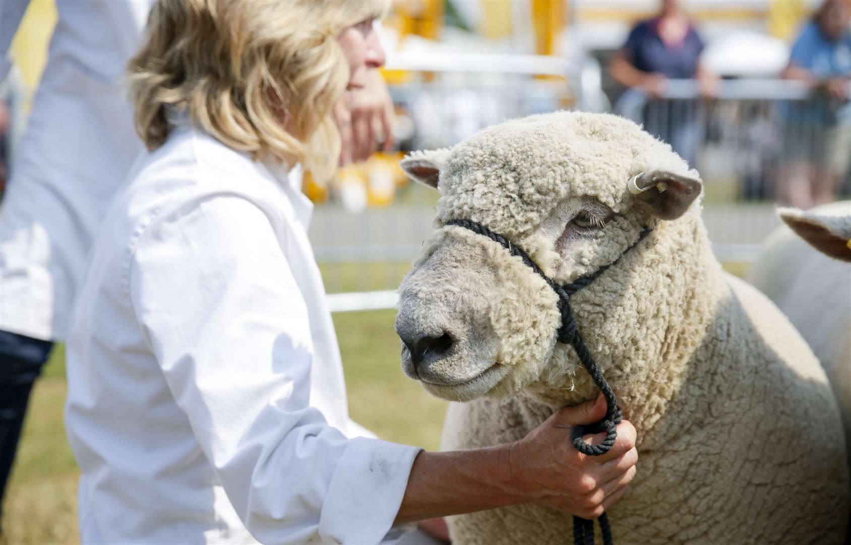 Kent County Show Picture: Thomas Alexander