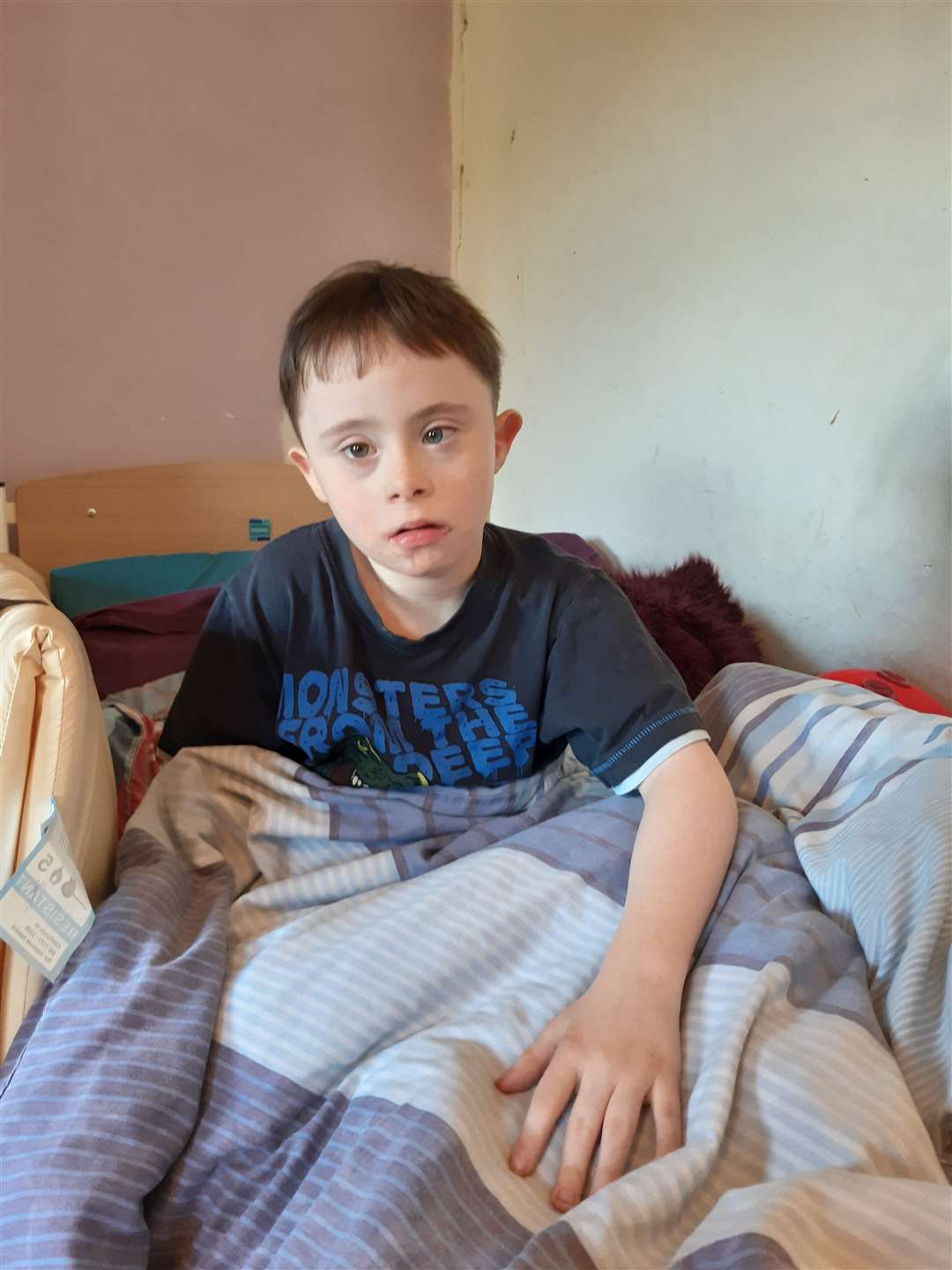 Mitchell in his specially-adapted bed next to the wall which has bugs emerging from it