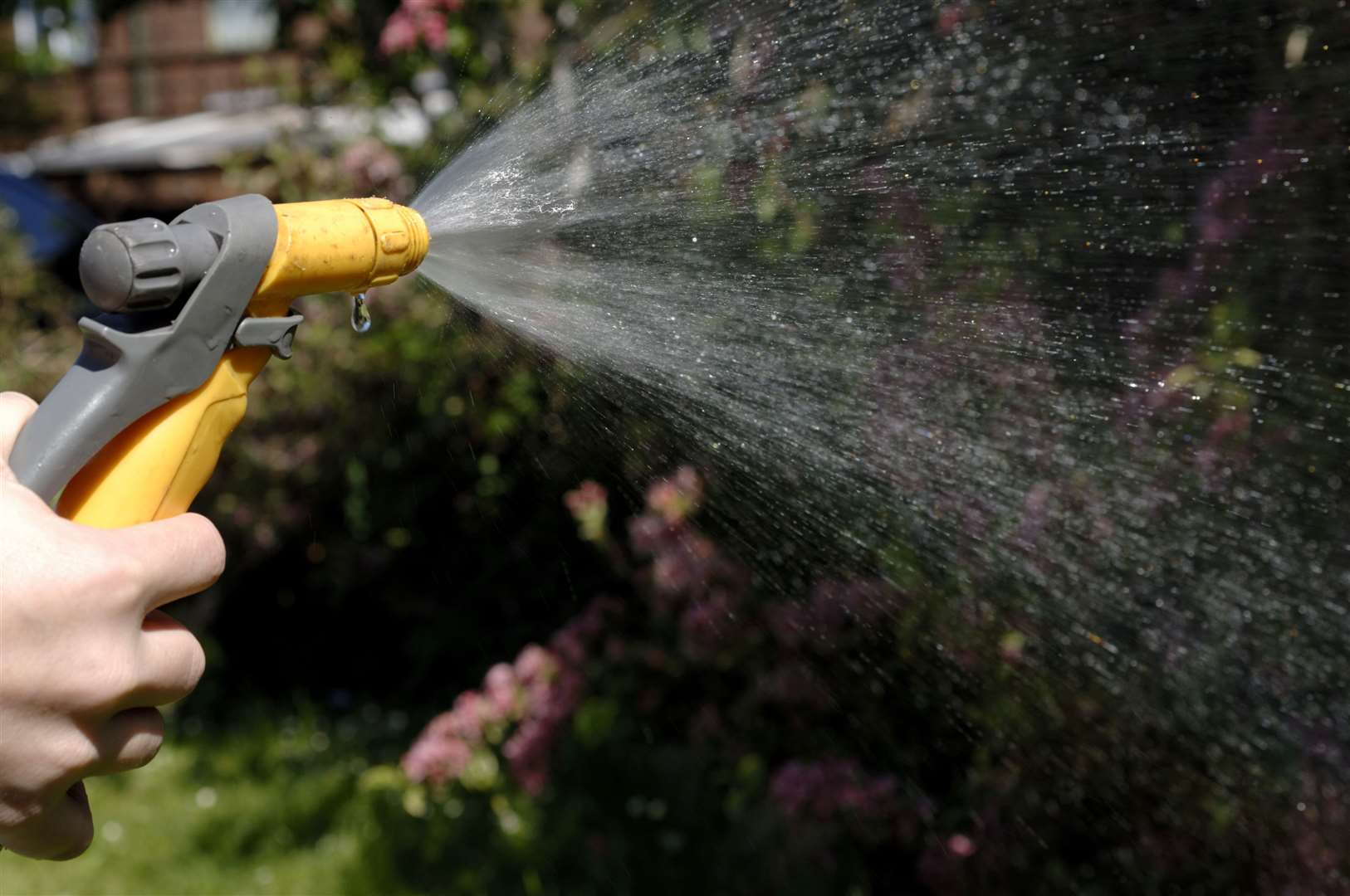 Kent towns under Affinity Water and Southern Water to avoid hosepipe ban