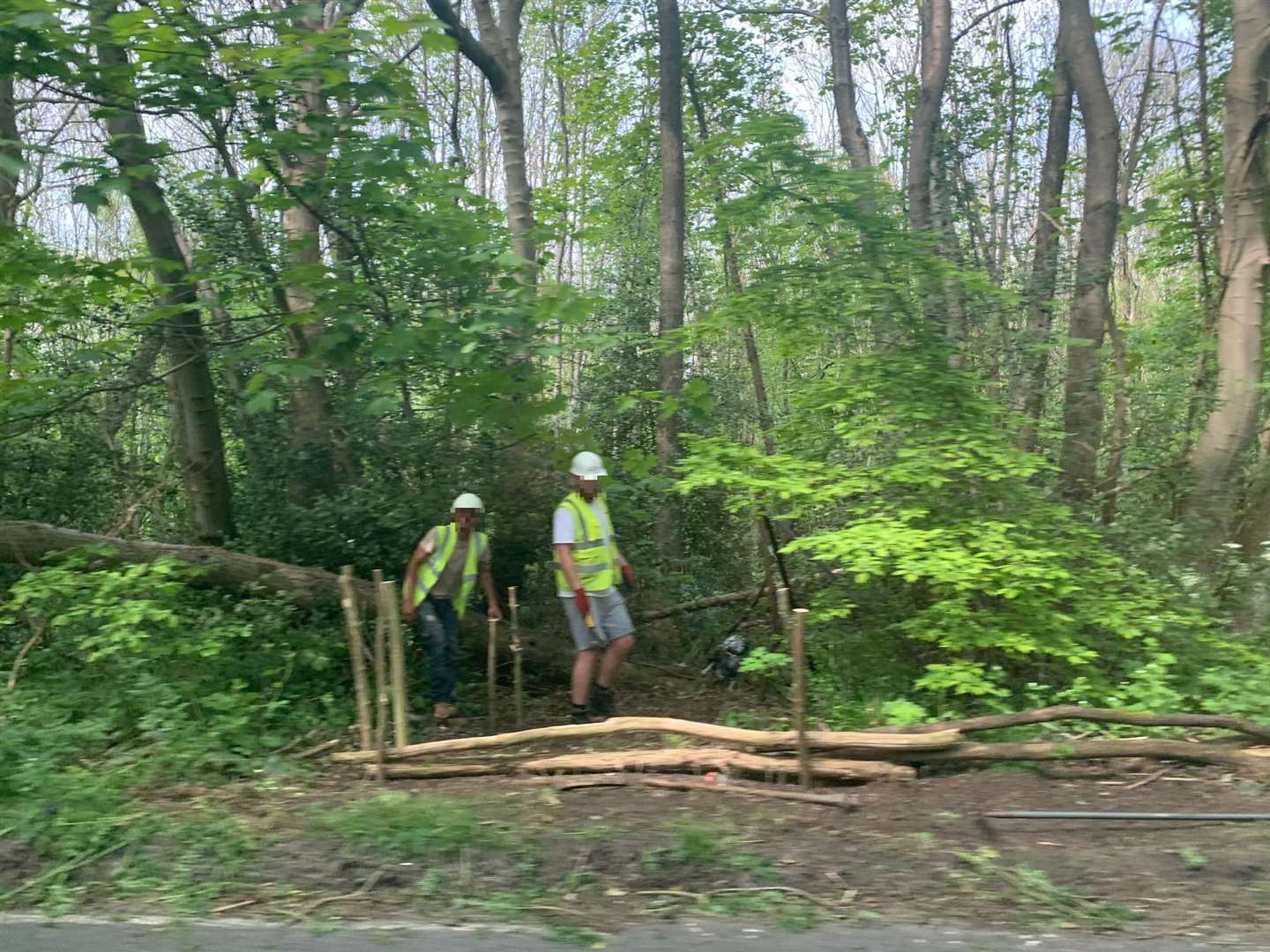 Workers seen in Harvel Lane, Fowlers Stone Wood, Vigo, where protected trees have allegedly been chopped down