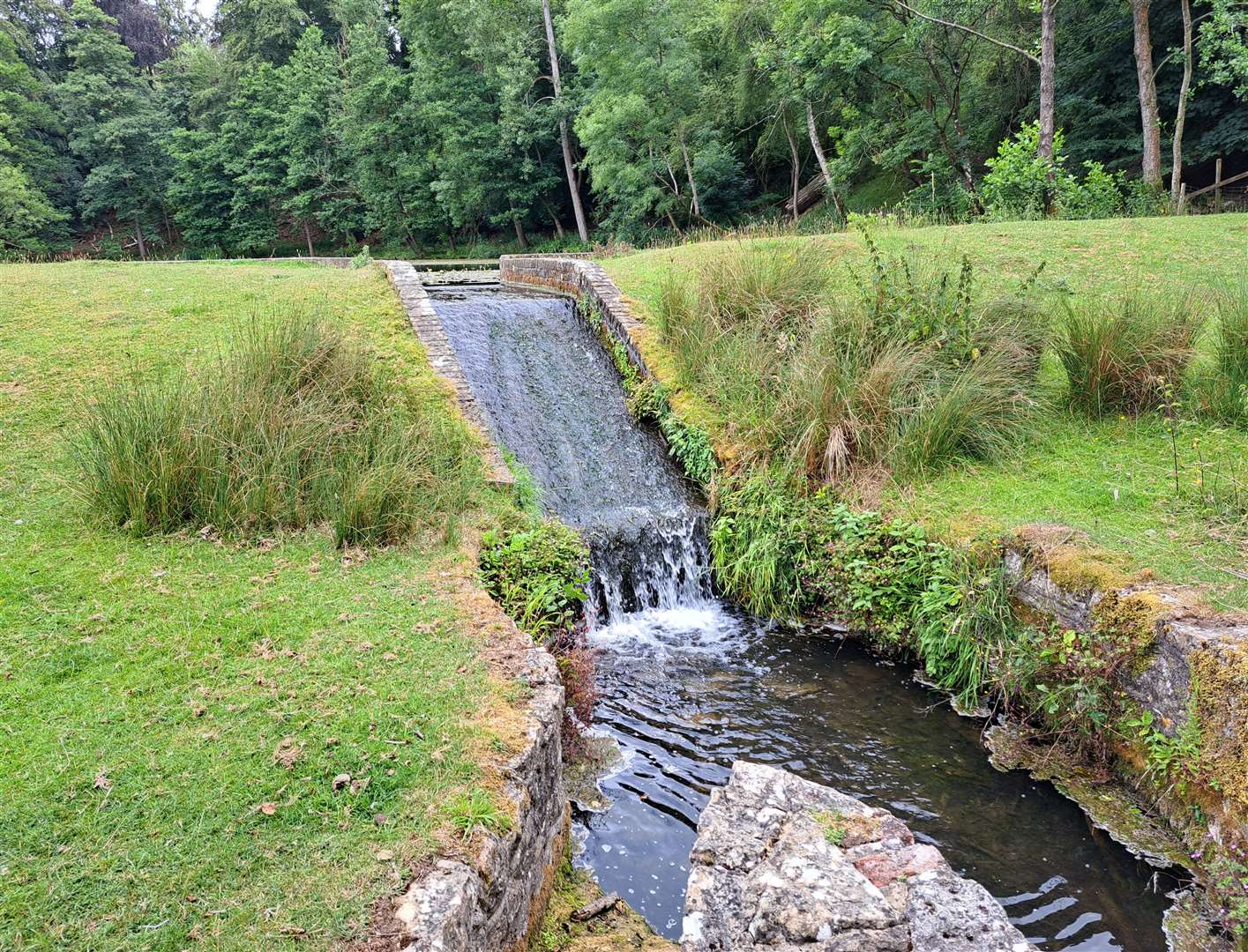 The stream leaves Heron Pond over a weir