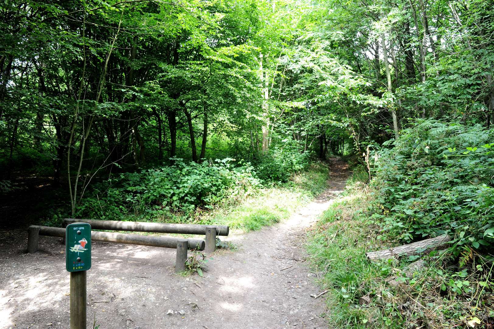 Trosley Country Park, Vigo, near Meopham. Picture: Simon Hildrew