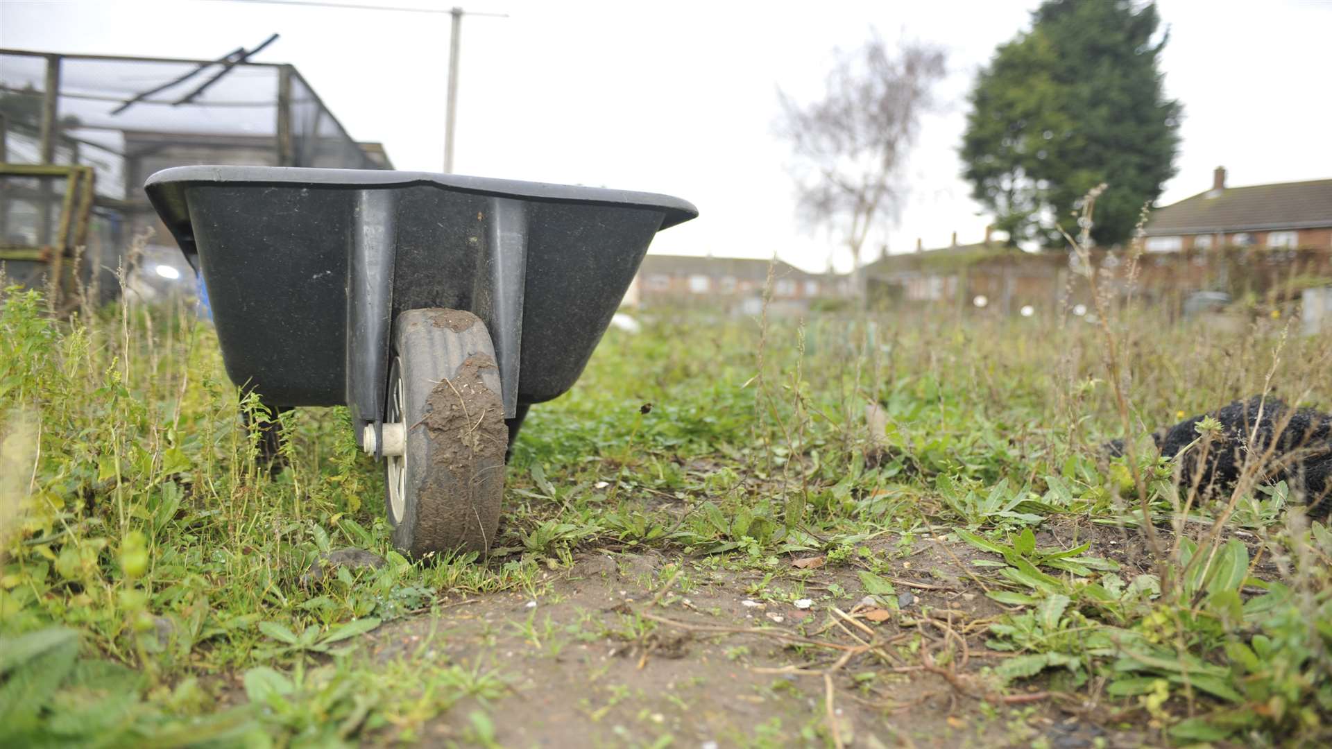 Allotments at North Preston, Faversham