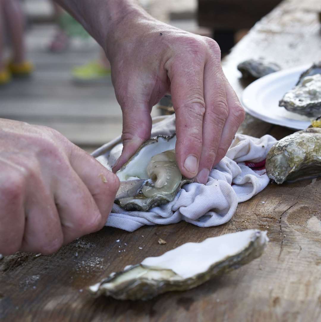 Oyster shucking in Whitstable Bay