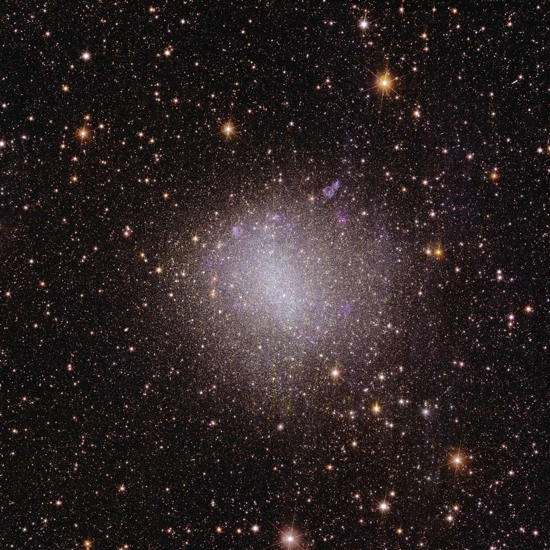 Euclid’s view of irregular galaxy NGC 6822 (ESA/Euclid/Euclid Consortium/Nasa)