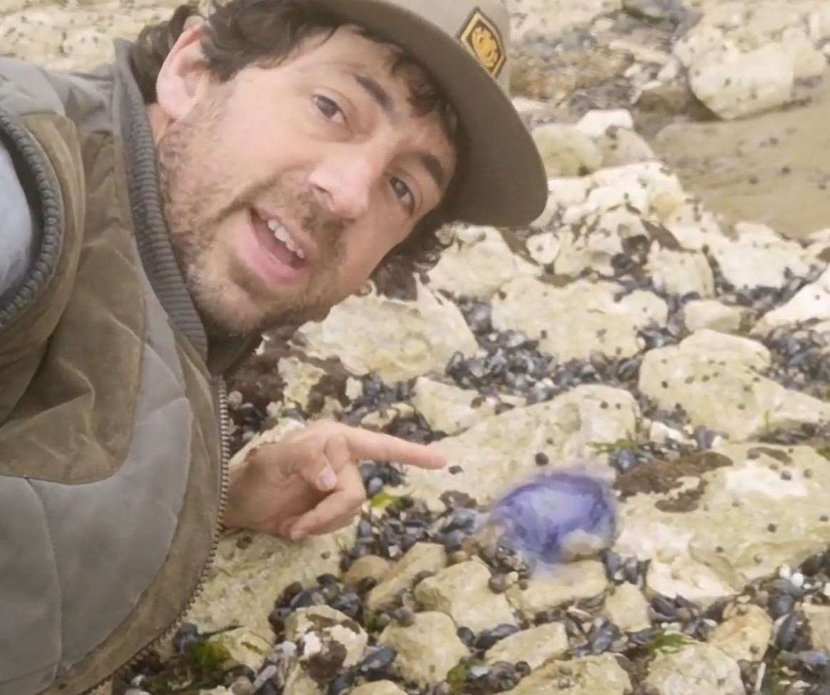 Nik Mitchell of Facebook page Wildlife Conservation in Thanet with a purple jellyfish in Ramsgate