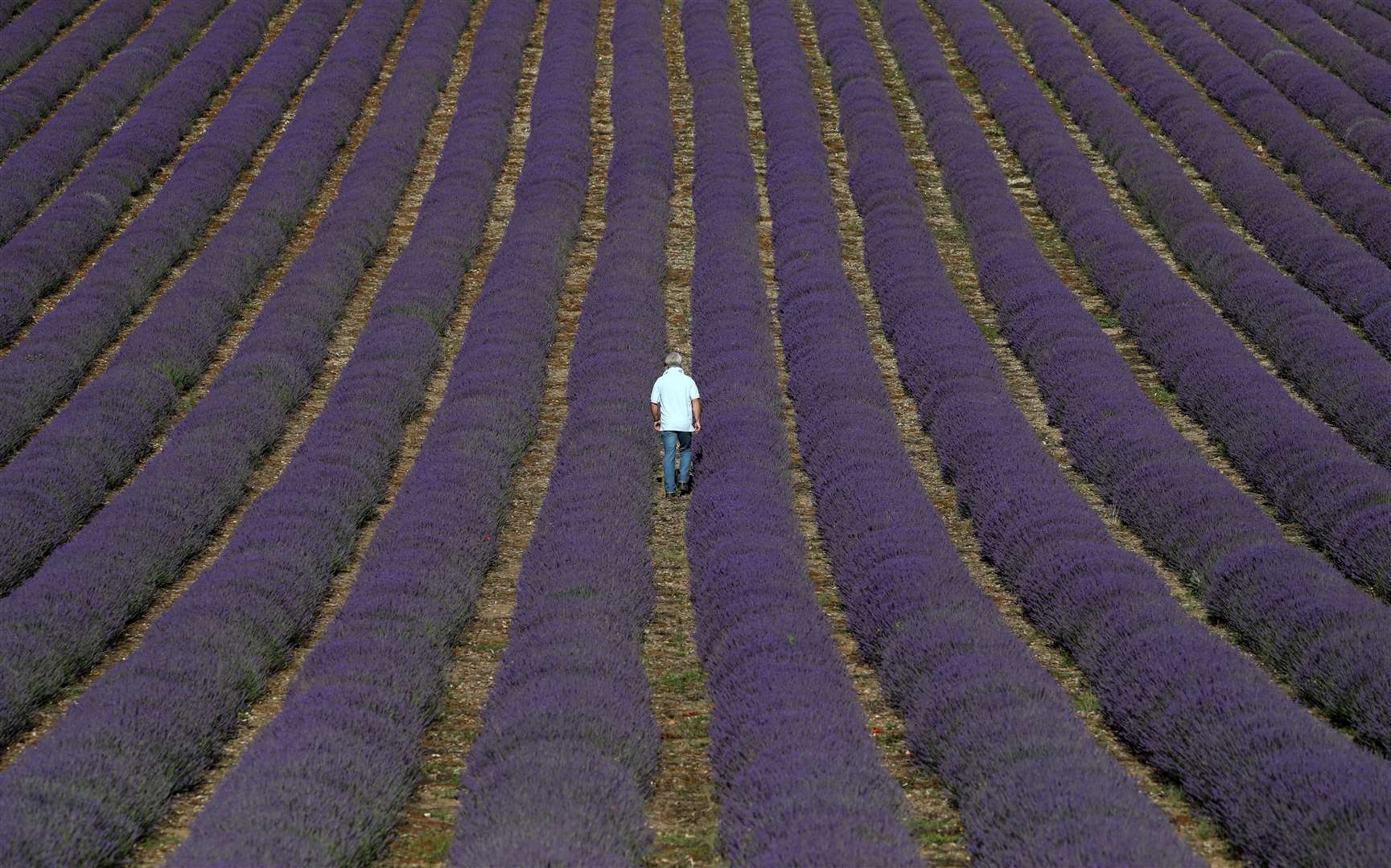 (Andrew Matthews/PA)