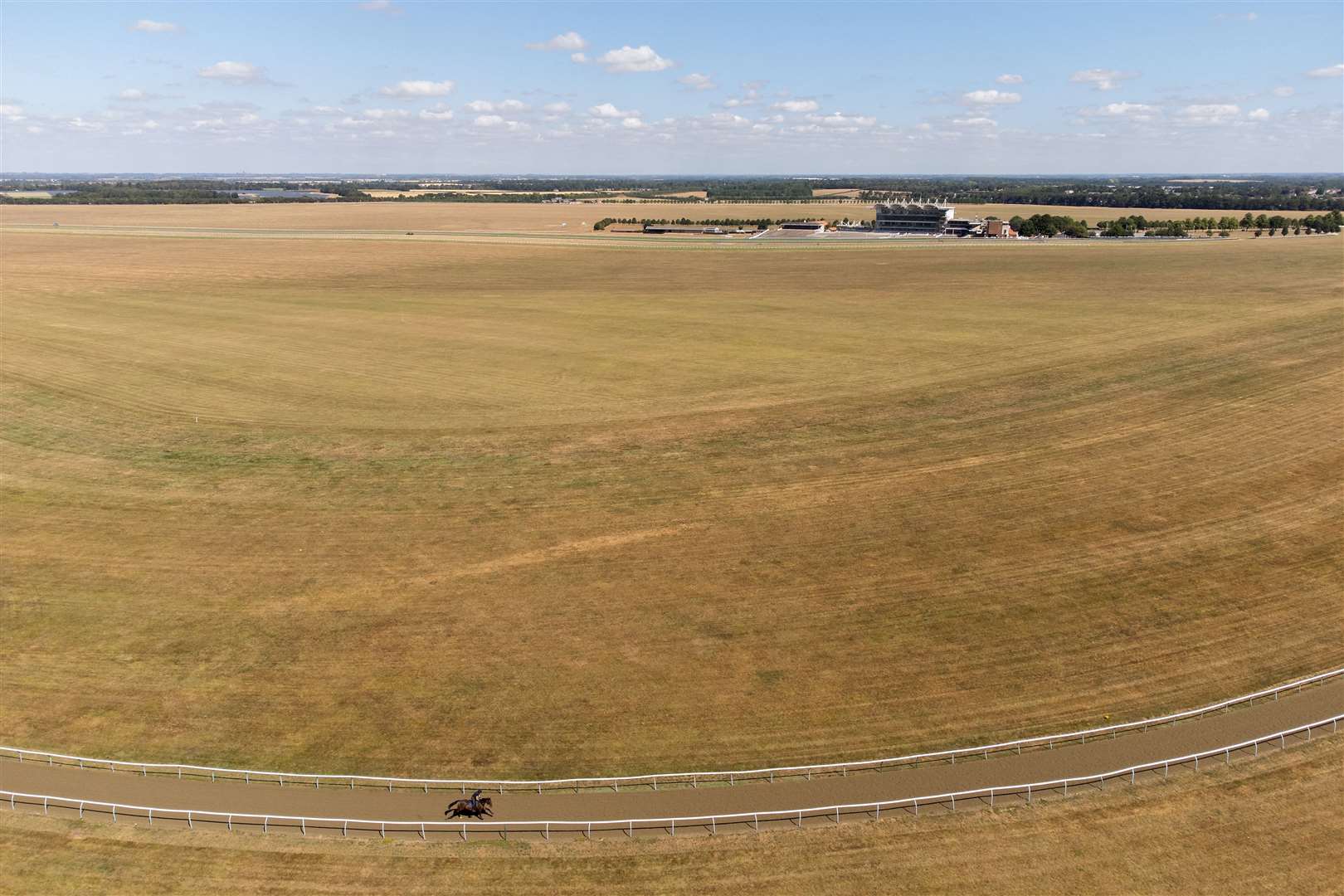 A horse on the gallops at Newmarket Racecourse (Newmarket/PA)