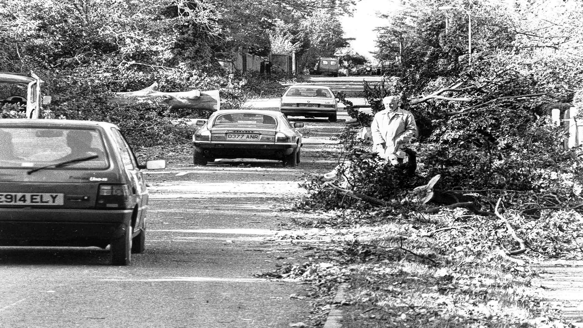 Motorists driving through a clearing in Hildenborough