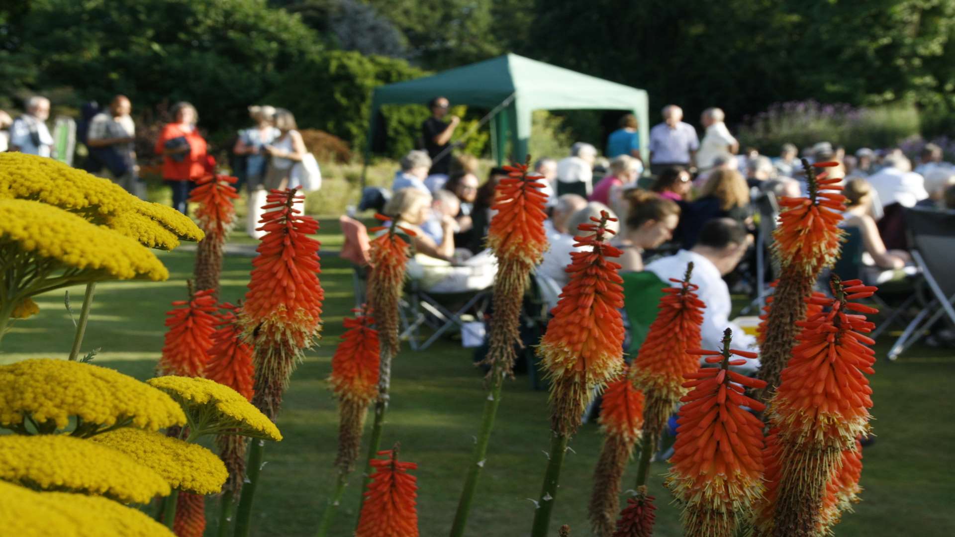 The gardens at Great Comp