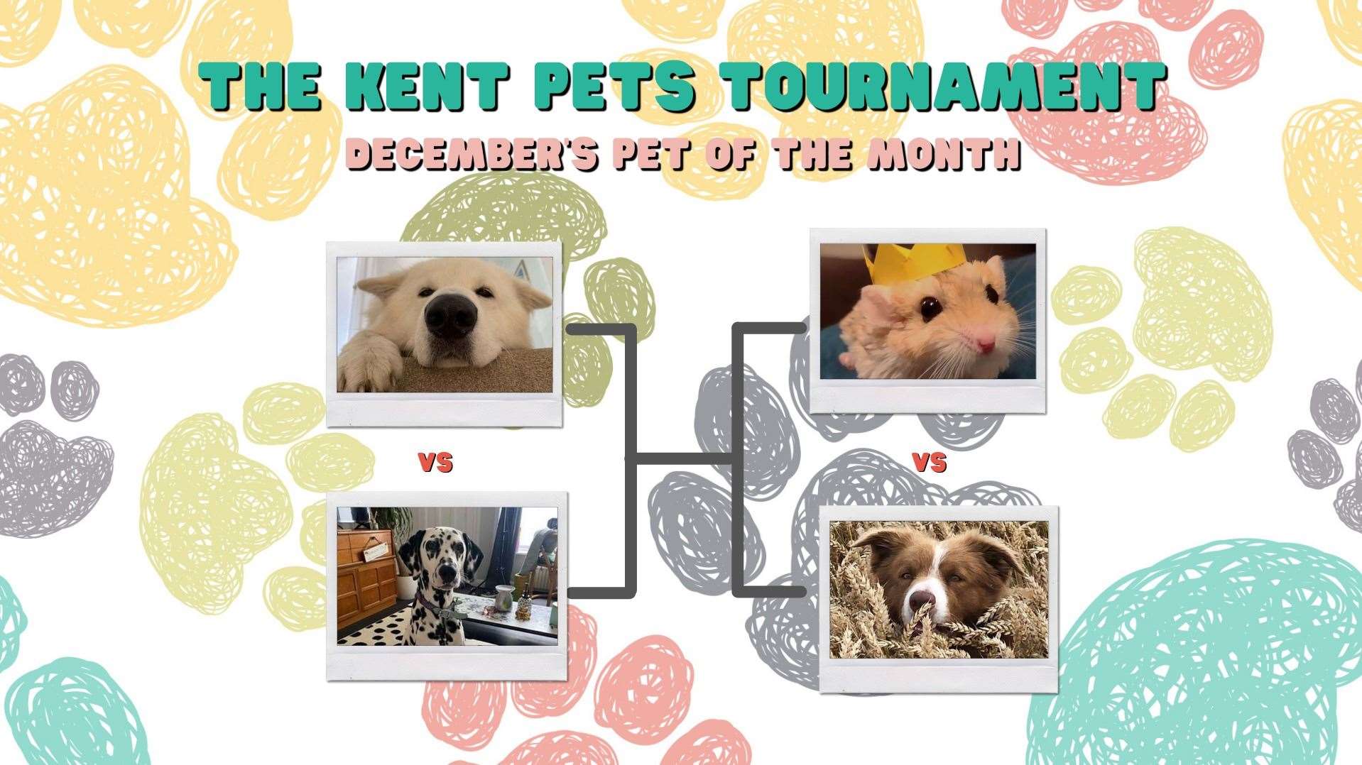 Who do you think should go into the final of Kent Pets Tournament?