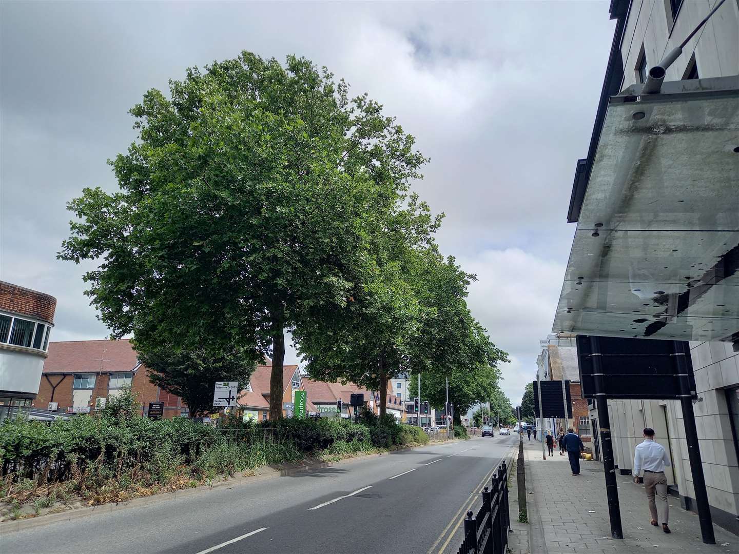 Eight trees line the centre of the road (57659769)