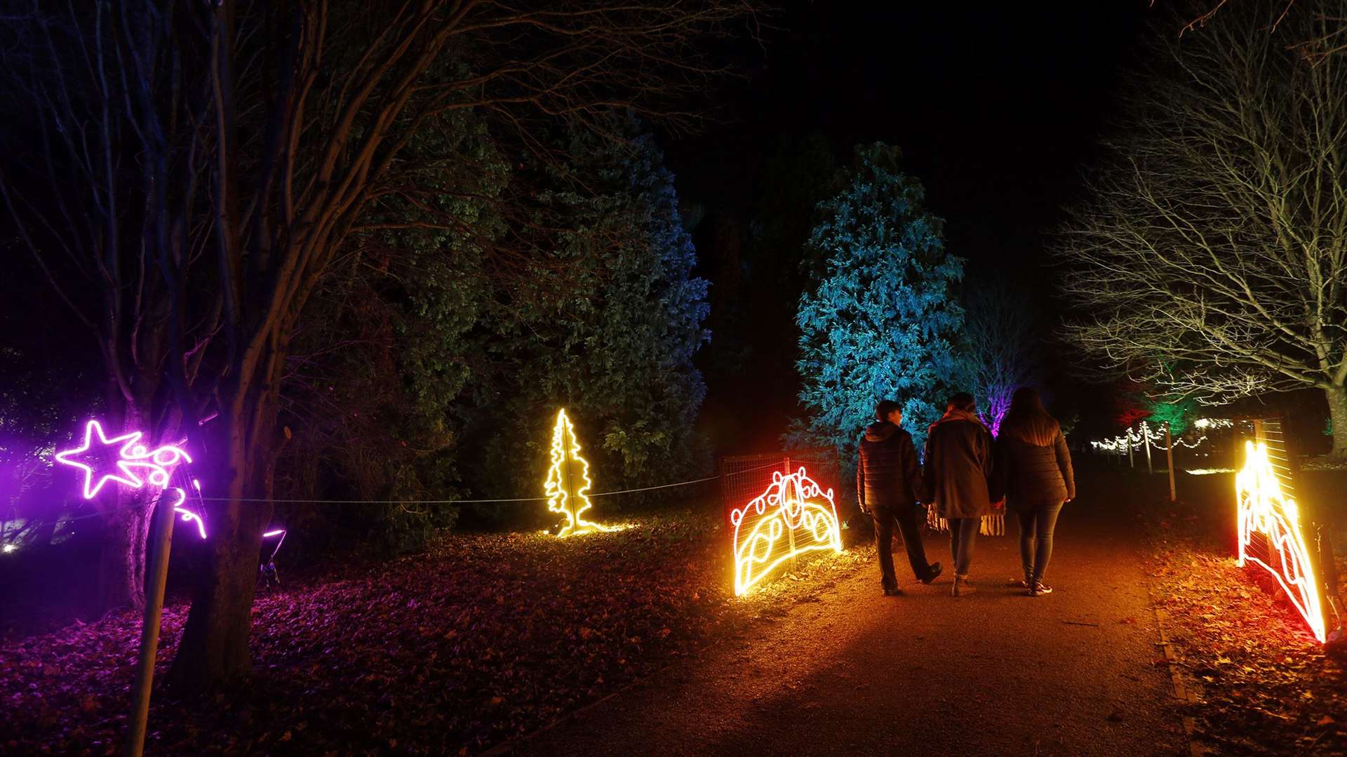 The illuminated trail Picture: Nick Johnson