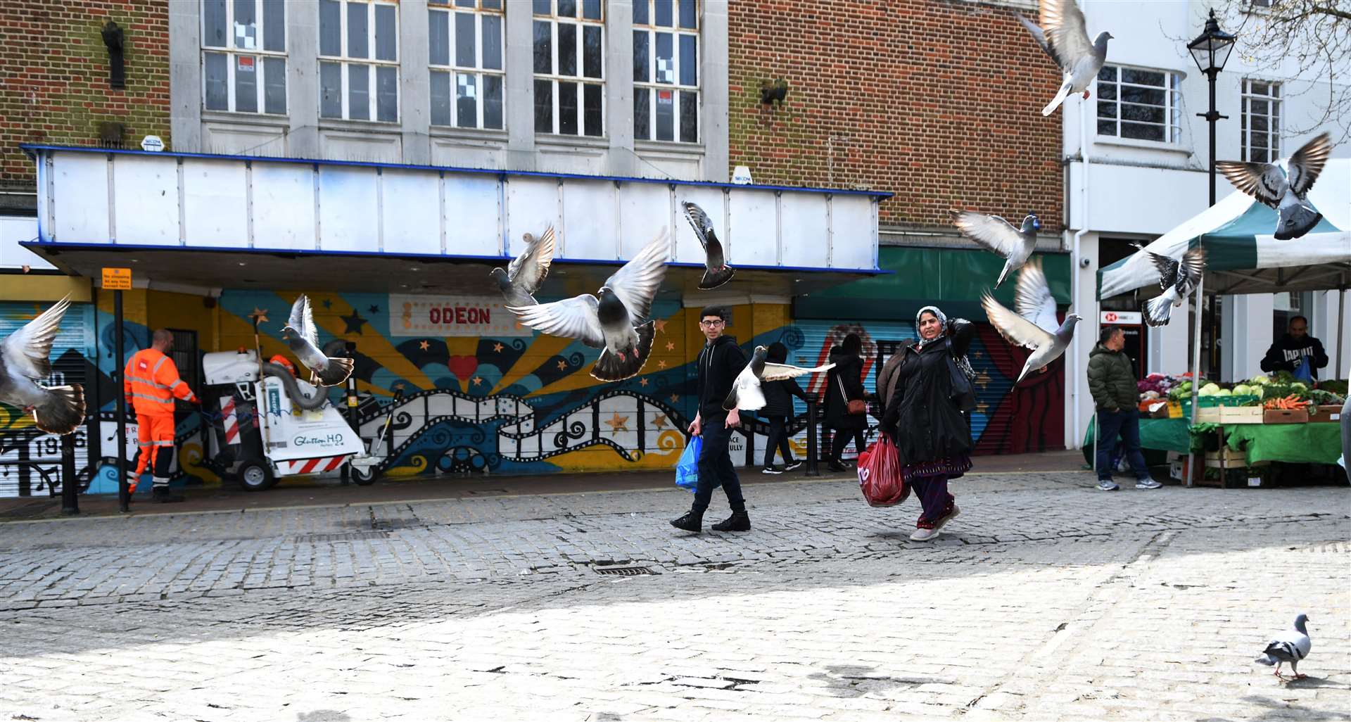 Pigeons in the Lower High Street. Picture: Barry Goodwin