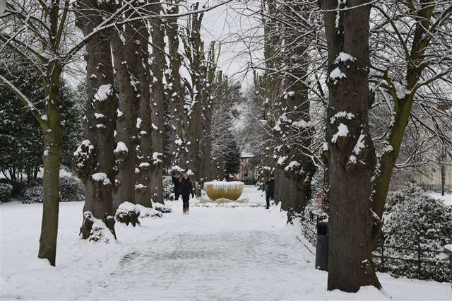 The rink will be in the Dane John Gardens