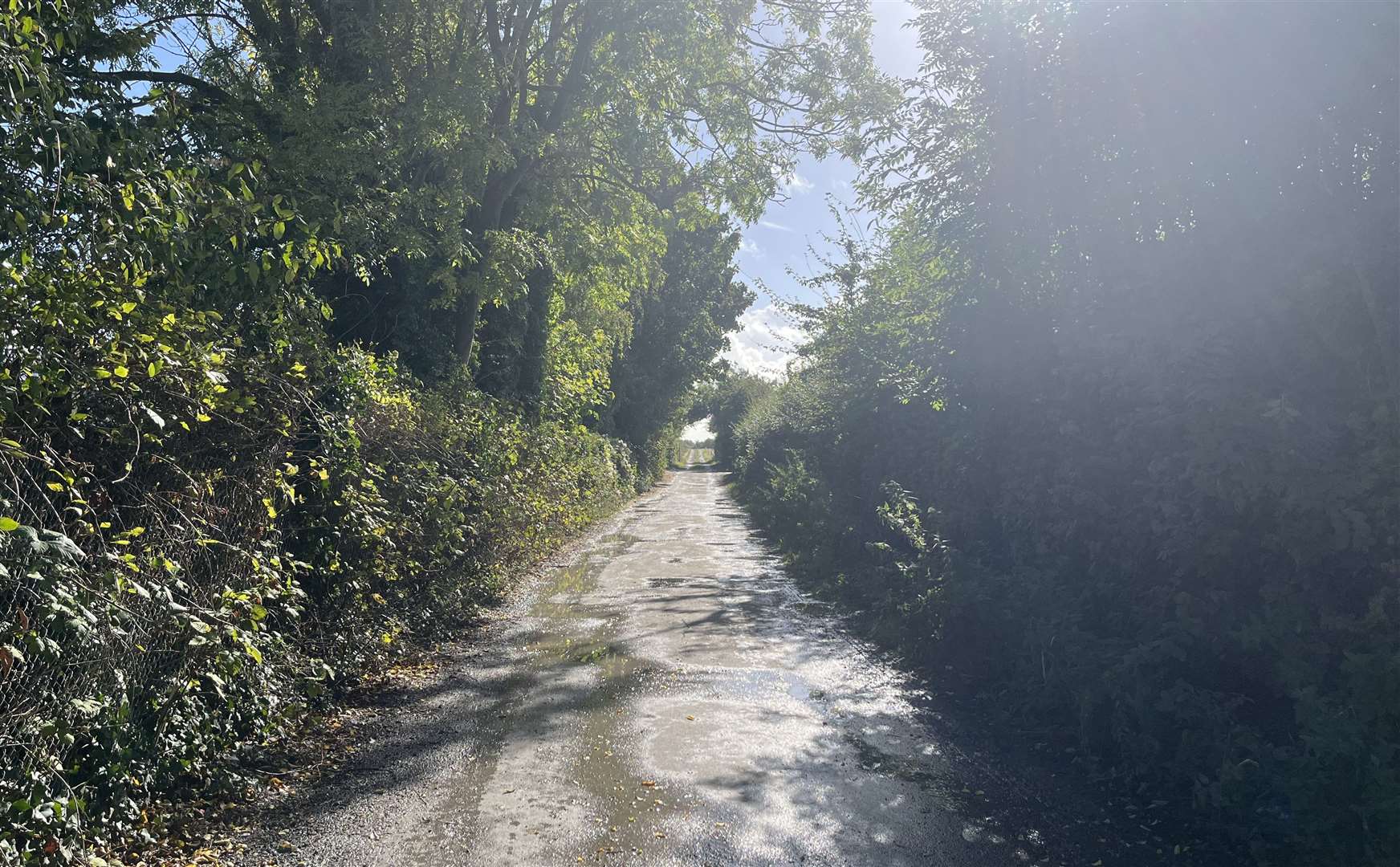 The track road is typically only used by pedestrians to access Sandwich Station and farm vehicles to access neighbouring land