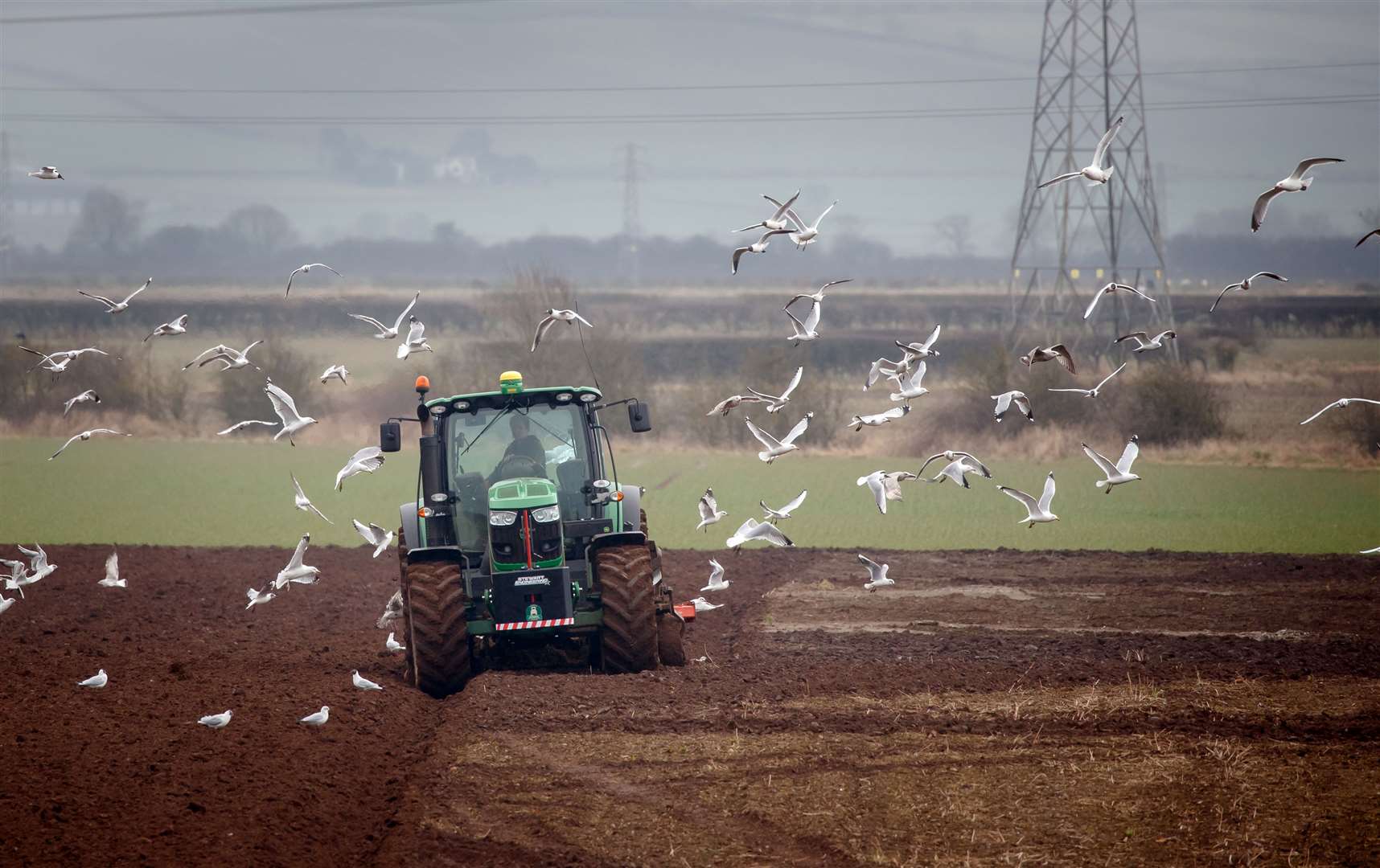 The party said food security should be ‘recognised as a strategic national asset in the UK’ (Danny Lawson/PA)