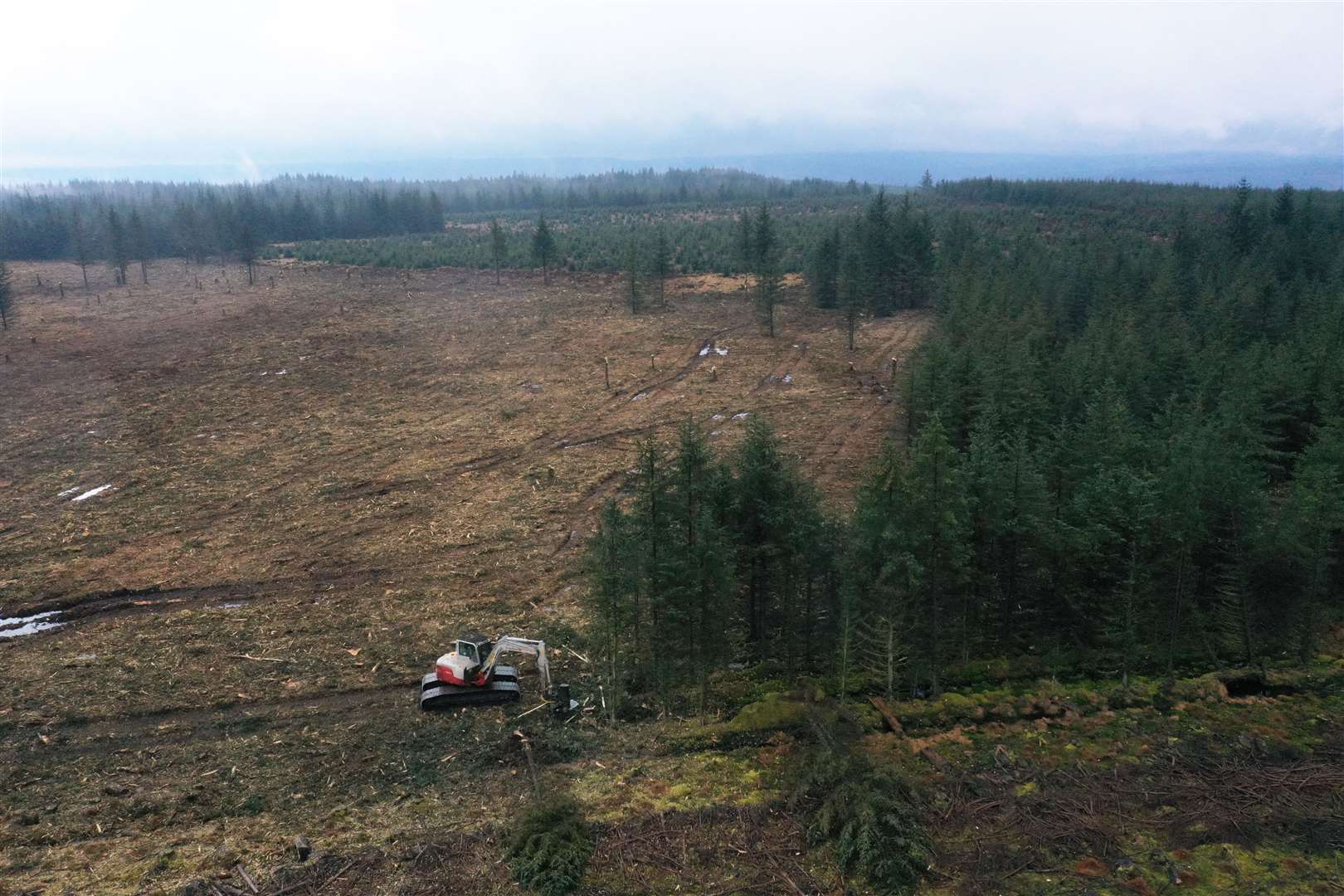 The ancient peat habitat is under threat from encroaching trees which are being removed as part of an environmental restoration project (Owen Humphreys/PA)