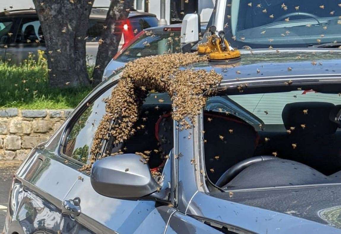 An Autoglass worker was trying to replace the windscreen of a BMW when the bees swarmed around him in Lydd. Picture: Peter Down