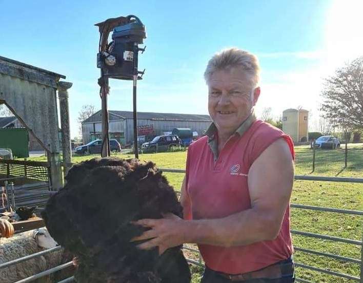 Chris Weller lost two sheep in a suspected dog attack at Old Romney. Picture: Donna Walker-Hudson