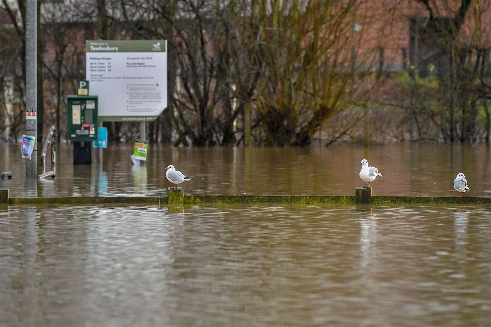 Birds rest on a fence in a flooded car park beside Tewkesbury Abbey (Ben Birchall/PA)