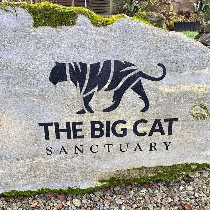 The Big Cat Sanctuary sits in Smarden on the outskirts of Ashford