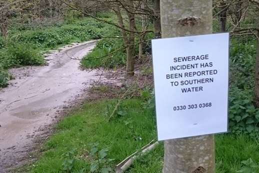 Southern Water alerted to foul sewage gushing into Meads Community Woodland