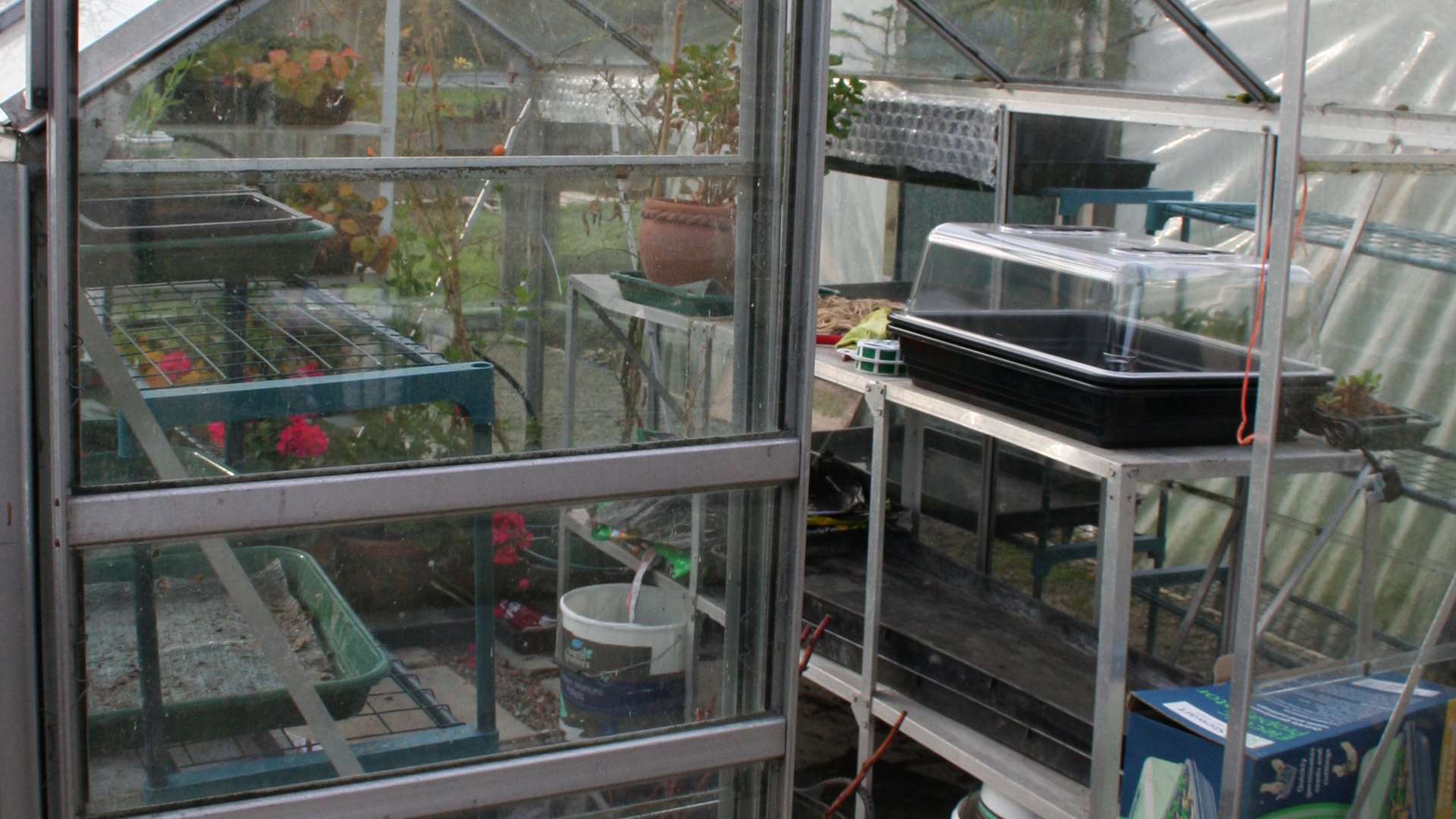 Cleaning the greenhouse