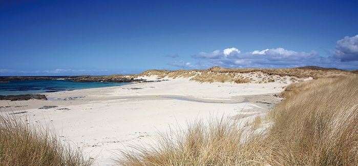 Camber Sands will be the backdrop