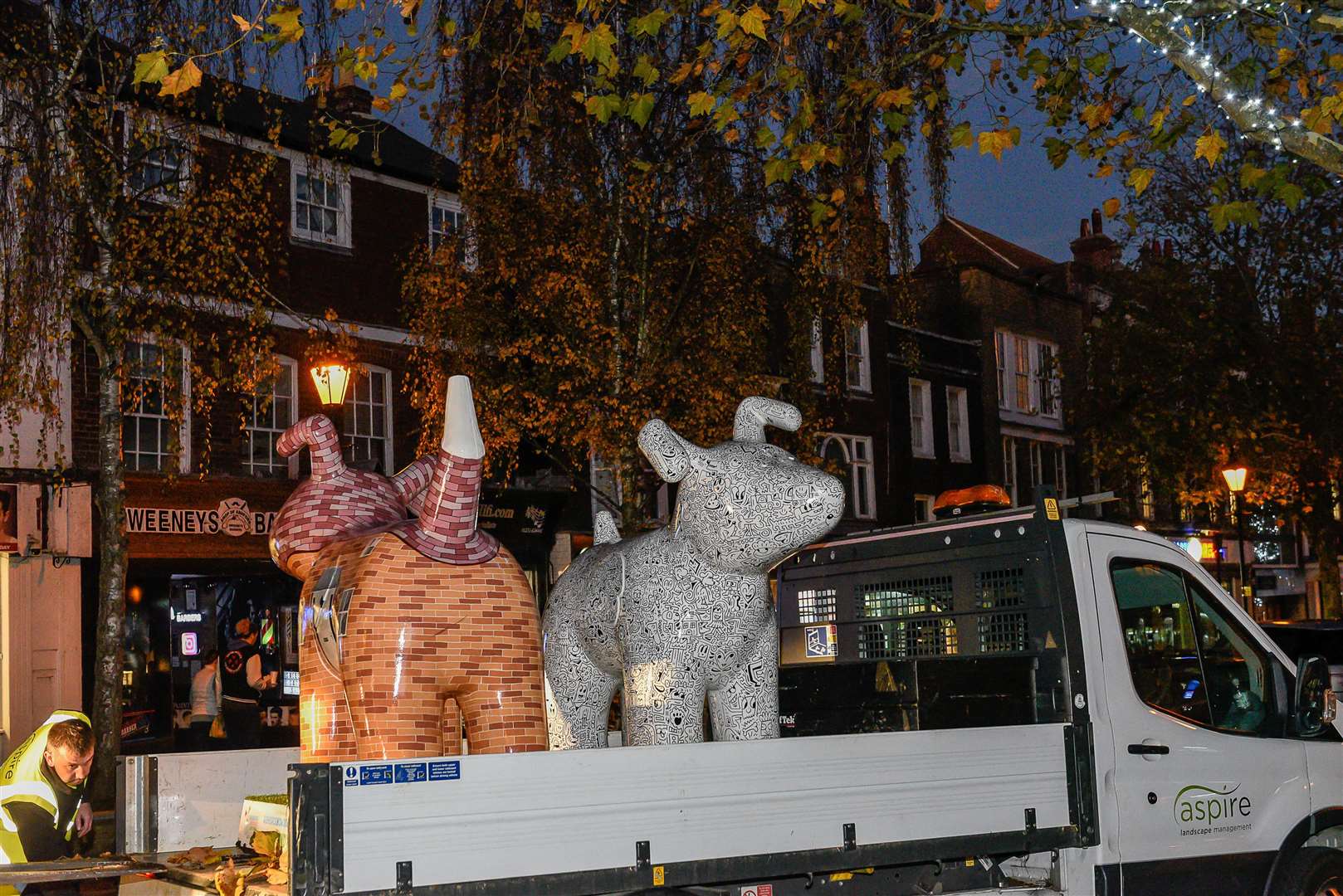 The popular pooches will have one more outing- a Farewell Weekend at the Julie Rose Stadium - before being auctioned off at the beginning of December. Picture: Alan Langley