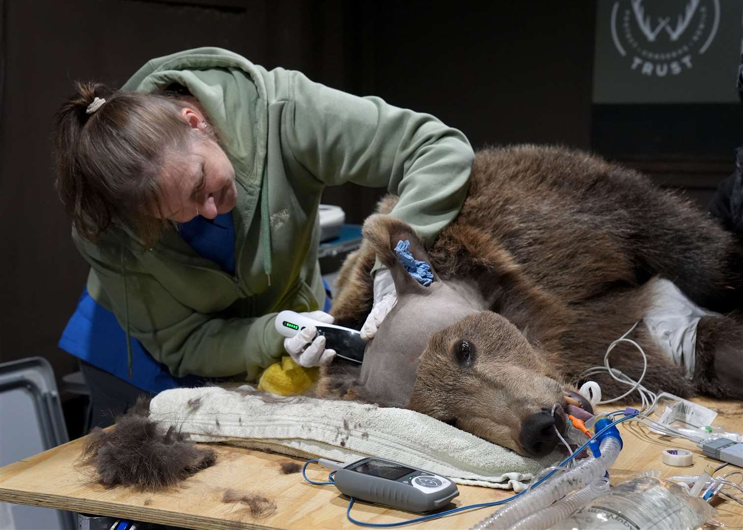 Boki during the operation to drain fluid from is brain (Gareth Fuller/PA)