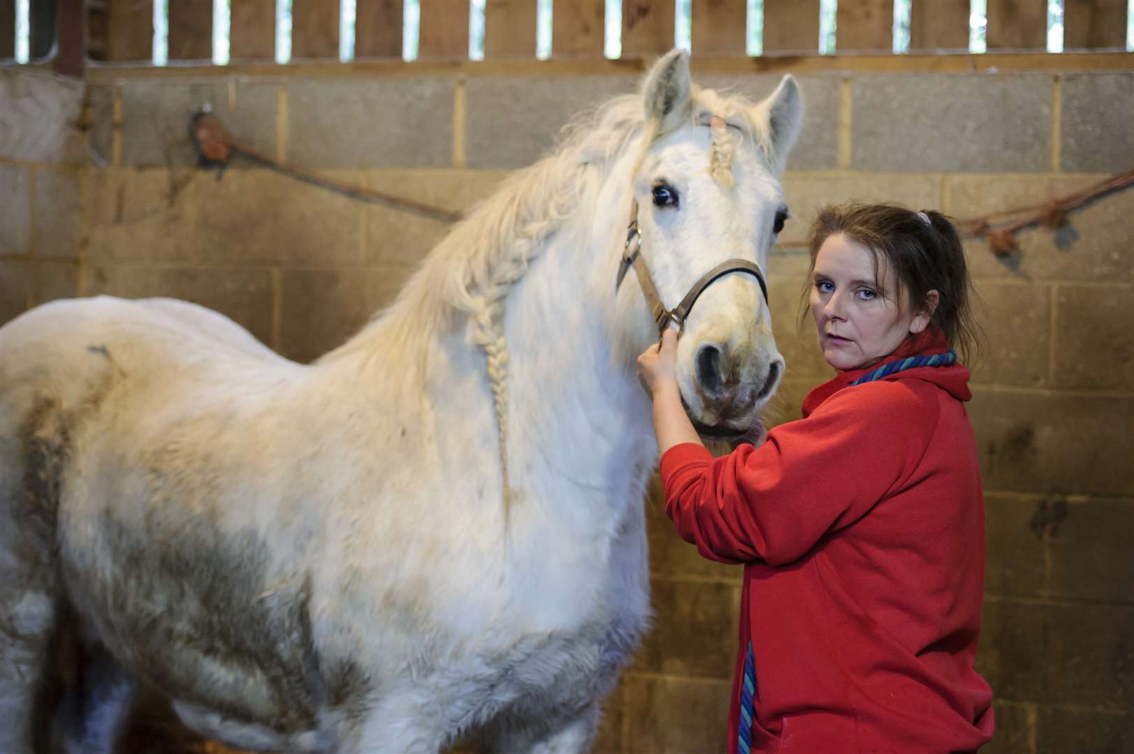 Horse owner Tracy Briggs is hoping to crowdfund a major operation for one of her horses, Silver
