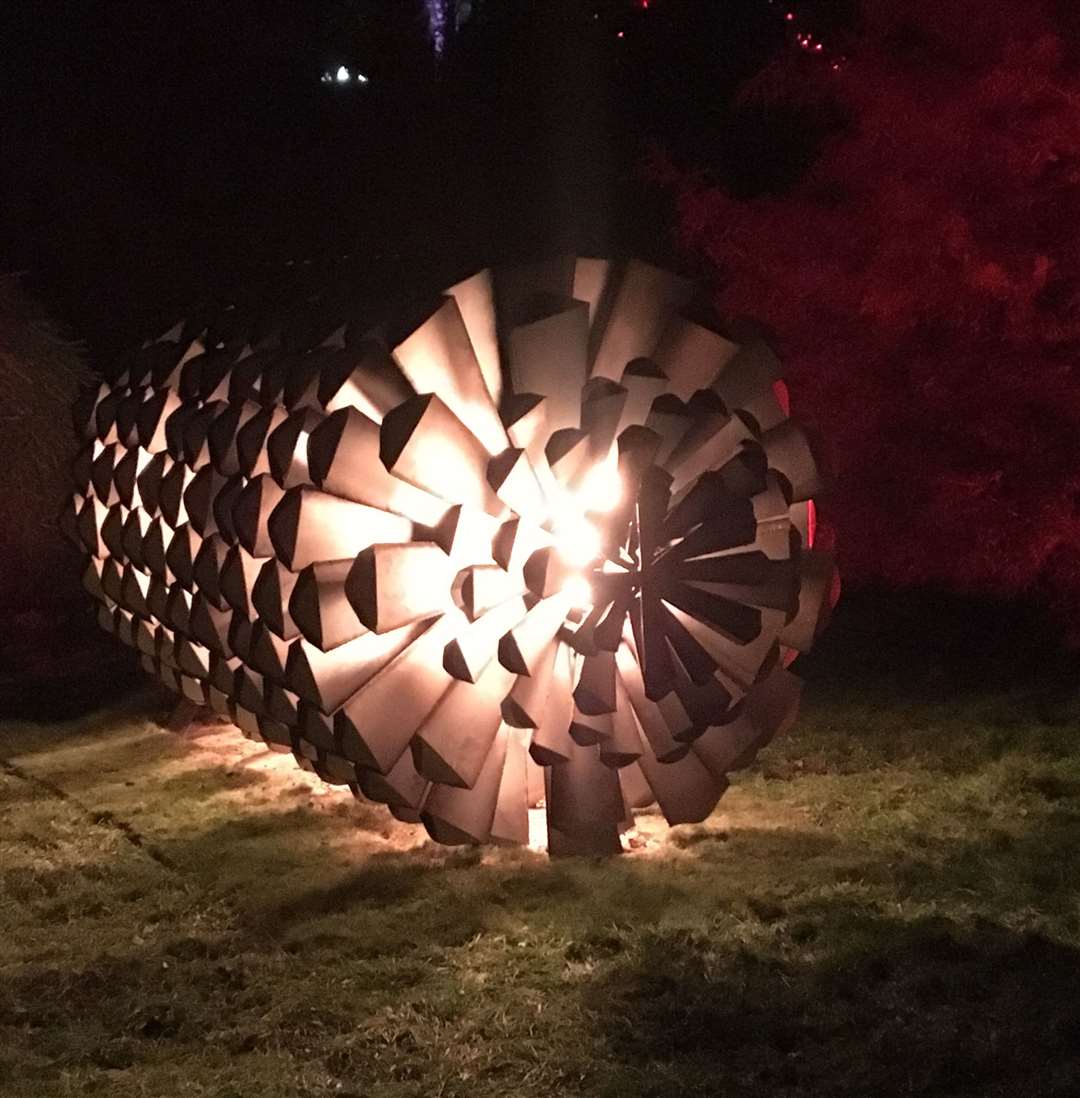 Giant pine cones at Bedgebury