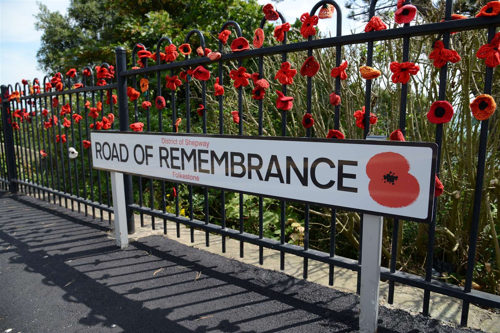 The chick was found in the Road of Remembrance, Folkestone