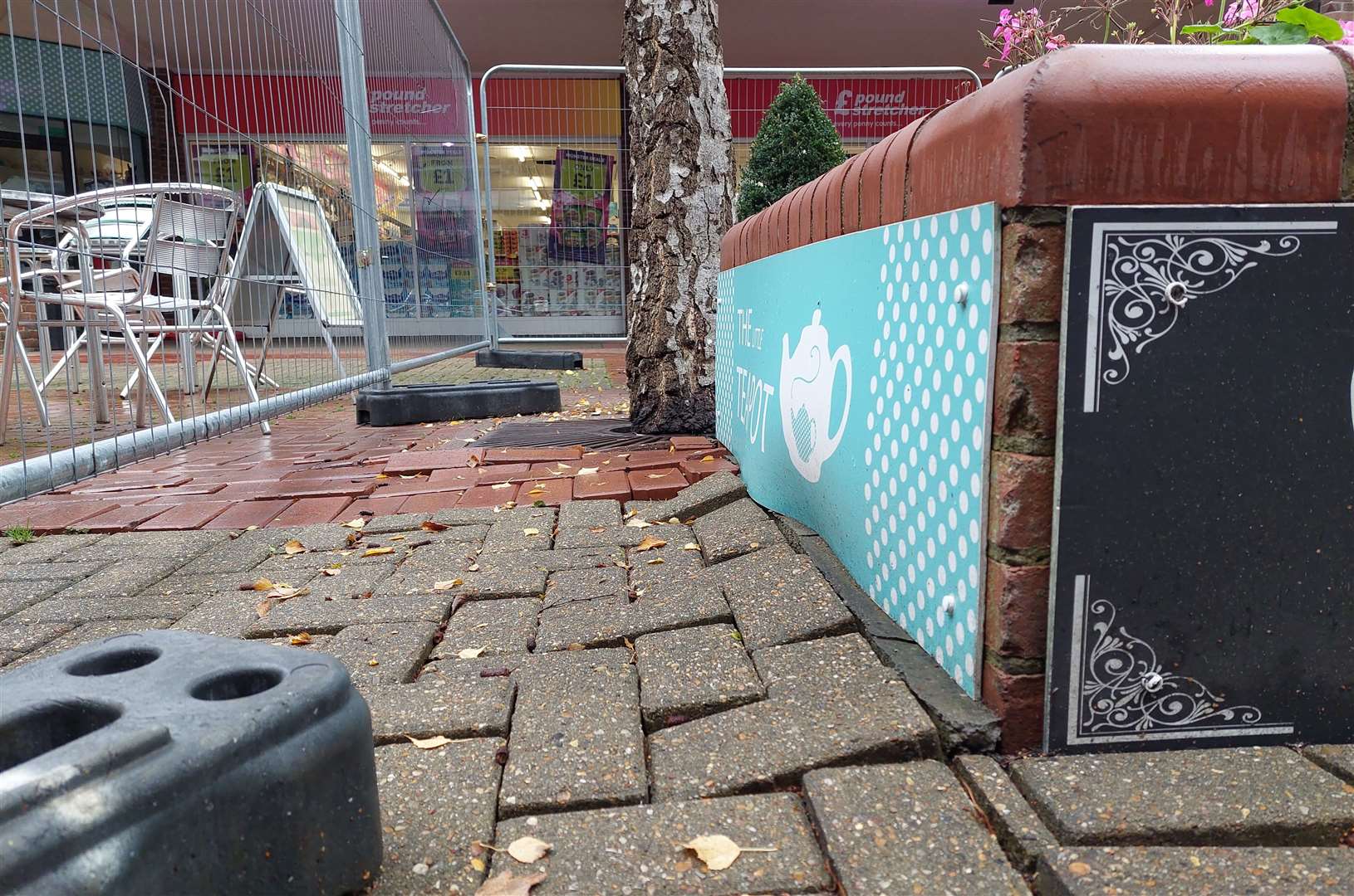 Uneven surfaces surround the trees set to be felled