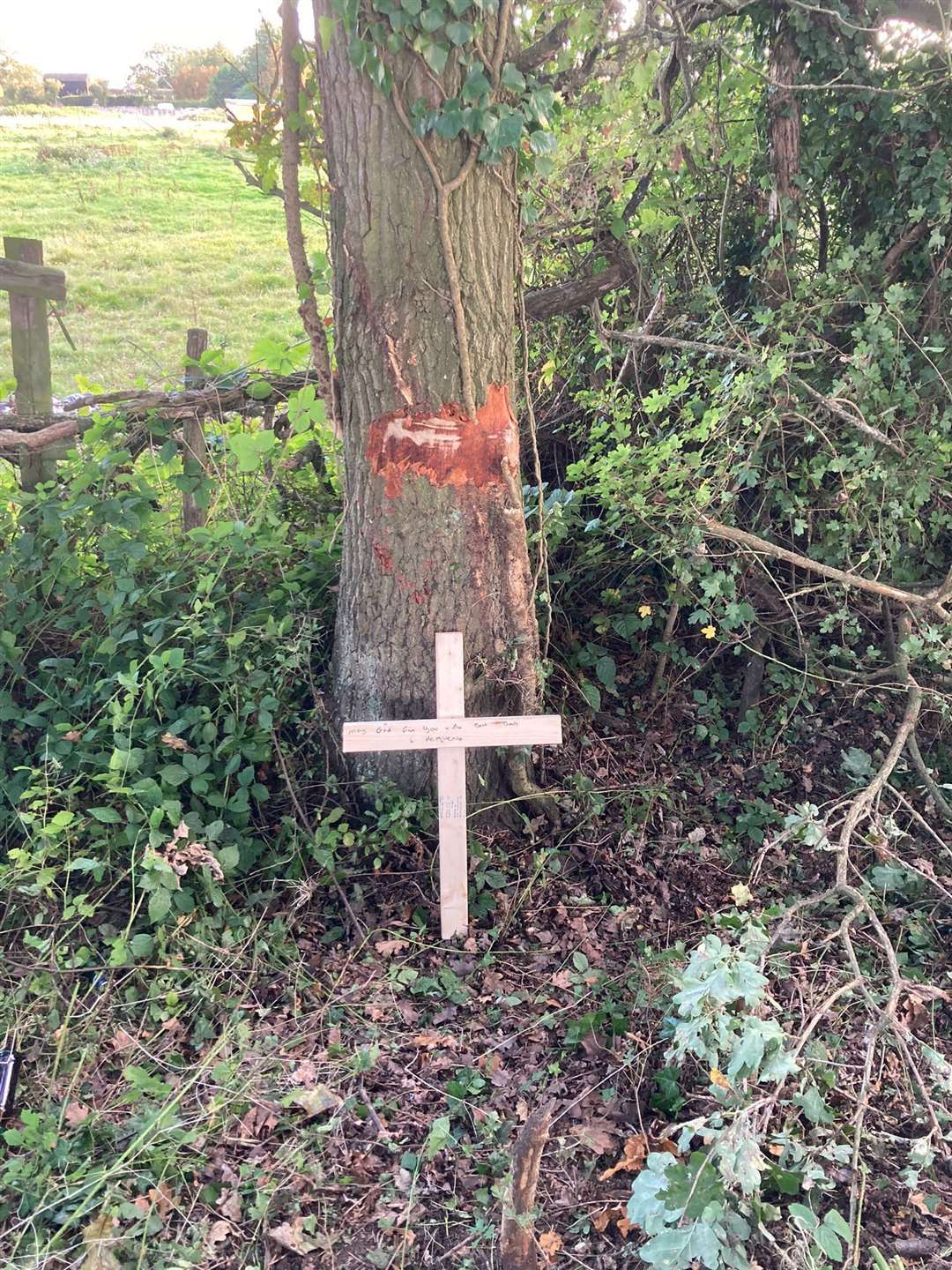 Floral tributes left along the side of Lenham Road, Headcorn after four members of the Cash family passed away in a devastating accident (52145863)