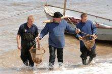 The oysters come ashore for the start of the 2009 Whitstable Oyster Festival