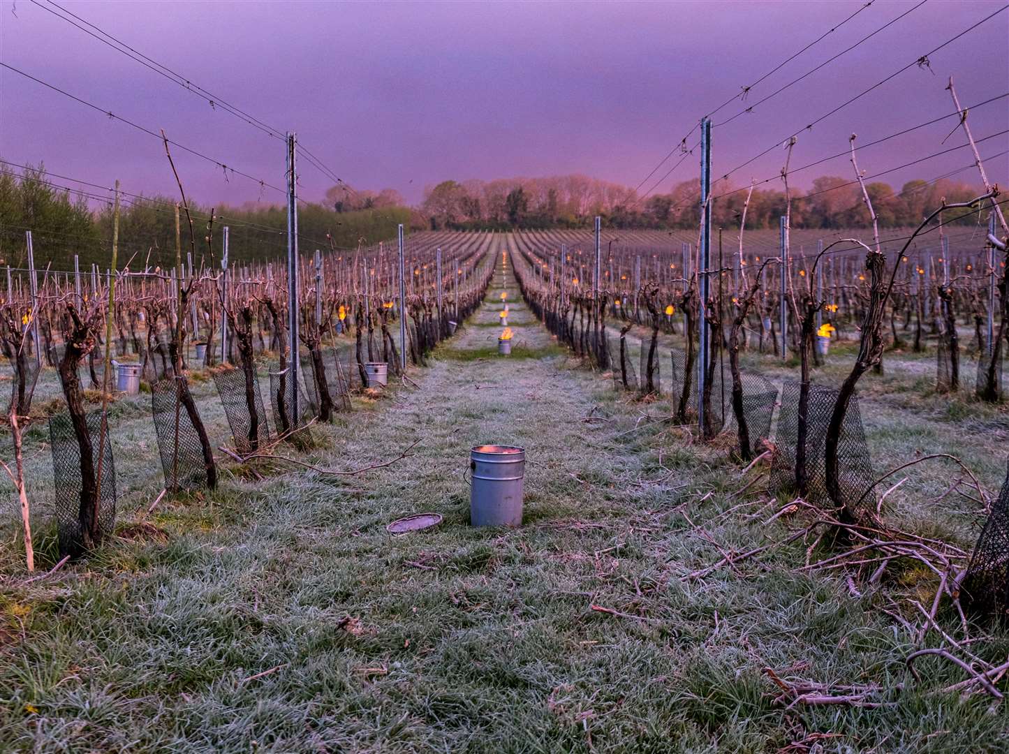 A team of 10 people stay up on 'frost watch', which involves lighting and extinguishing the candles. Picture: Helen Power / Simpsons Wine Estate