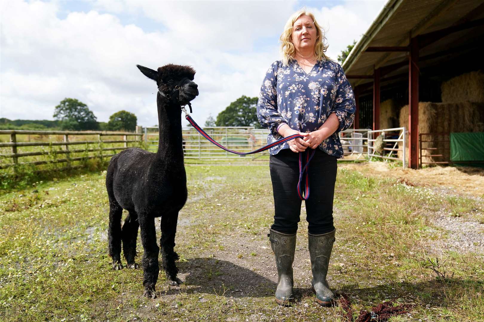 Geronimo the alpaca with owner Helen Macdonald (Jacob King/PA)