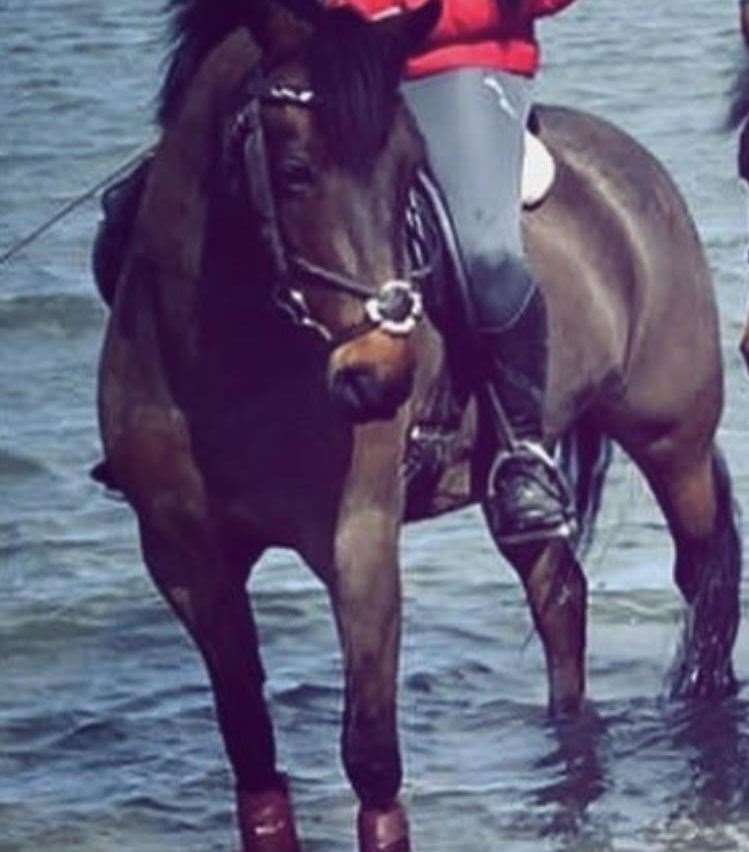 Paige Wells and her pony May at Riverside Country Park where she was later collected