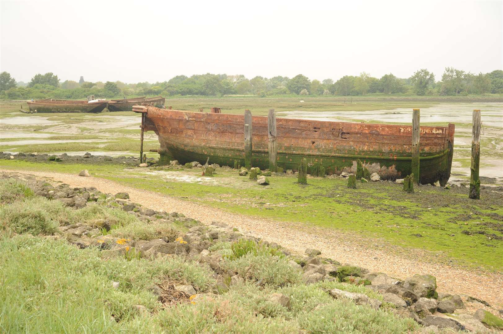 There is a 5k route around Riverside Country Park. Picture: Steve Crispe