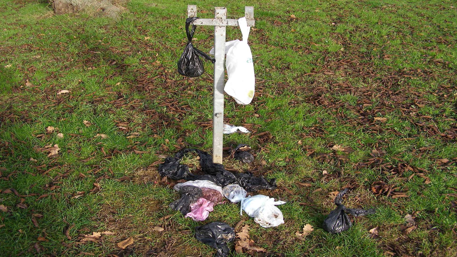 Poo strung up on the redundant bin frames