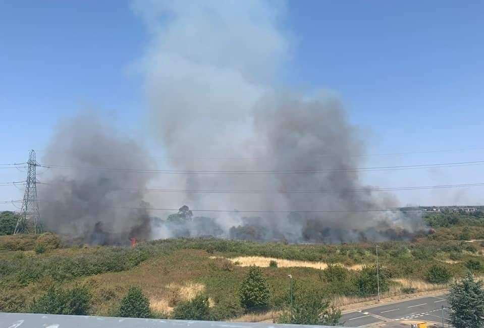 A large field fire has broken out near Durrell Dene, in Joyce Green, Dartford. Photo: Nicoletta Luizza