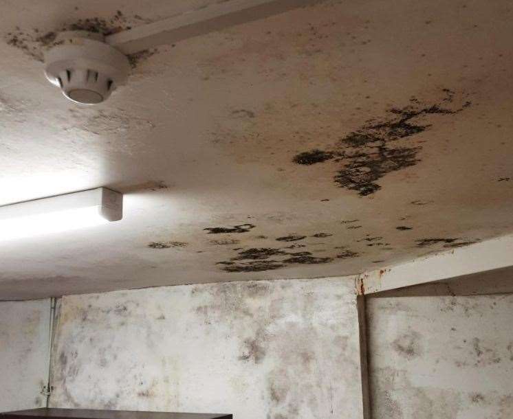 Mould at Paper Duck World Buffet in Ashford. Picture: Ashford Borough Council