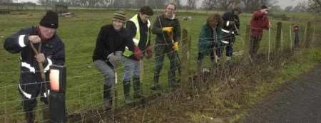 TOAD SAFETY: Volunteers dig in last year to help save the amphibians